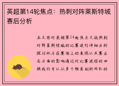 英超第14轮焦点：热刺对阵莱斯特城赛后分析