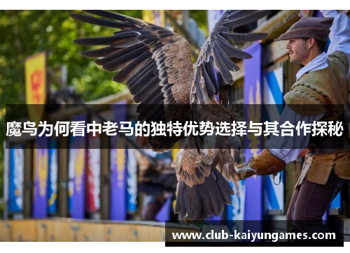 魔鸟为何看中老马的独特优势选择与其合作探秘 魔鸟为何看中老马的独特优势选择与其合作探秘
